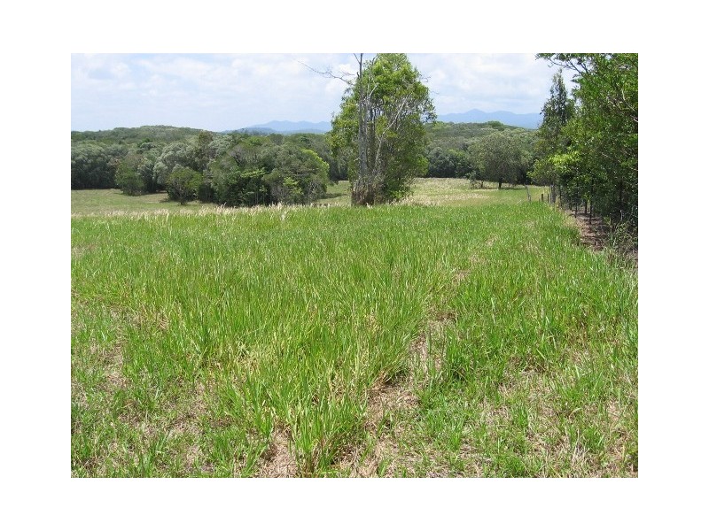 361 Pinnacle Road, Julatten QLD 4871