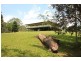 105 Salisbury Drive, Julatten QLD 4871