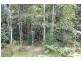 105 Salisbury Drive, Julatten QLD 4871