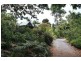 5 Meadow Road, Julatten QLD 4871