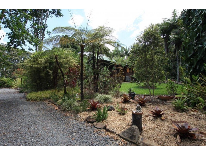 5 Meadow Road, Julatten QLD 4871