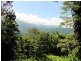Lot 241 Carbeen Road DIWAN, Daintree QLD 4873