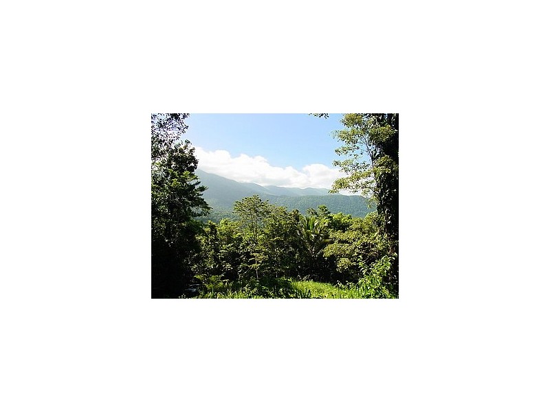 Lot 241 Carbeen Road DIWAN, Daintree QLD 4873