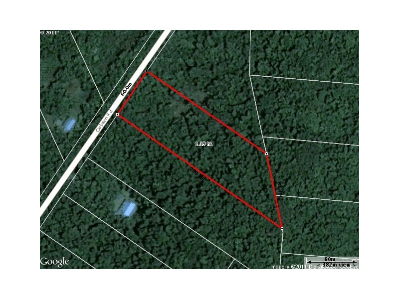 Lot 241 Carbeen Road DIWAN, Daintree QLD 4873