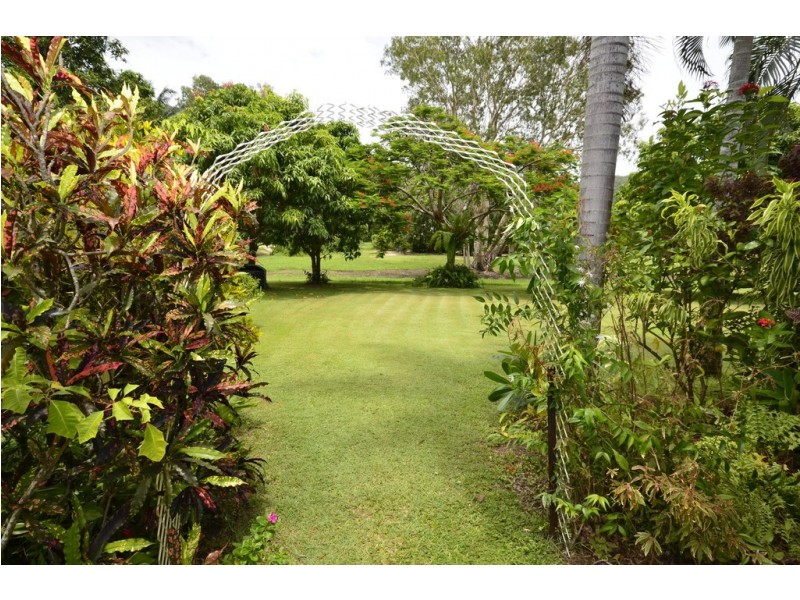 82 Marlin Drive, Wonga Beach QLD 4873