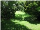 27 Main Street, Mount Molloy QLD 4871