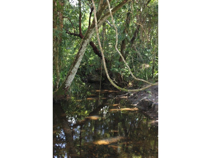 Lot 13 Cape Tribulation Road THORNTON BEACH, Daintree QLD 4873
