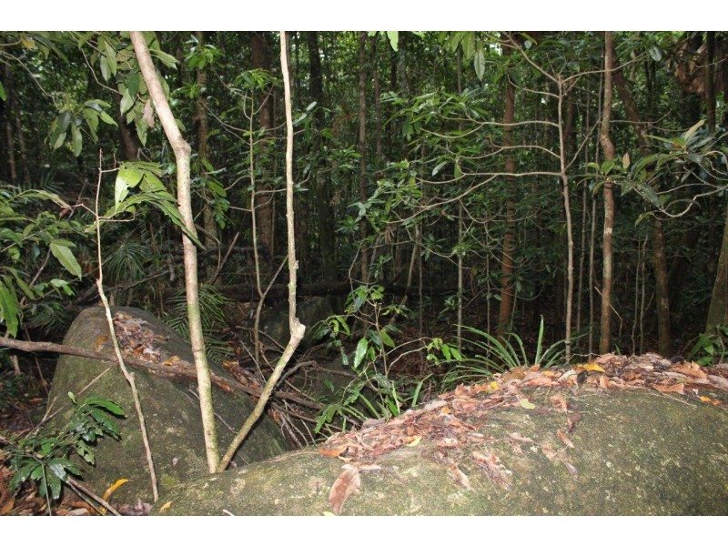 237 Stonewood Road DIWAN, Daintree QLD 4873