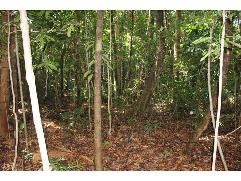 237 Stonewood Road DIWAN, Daintree QLD 4873