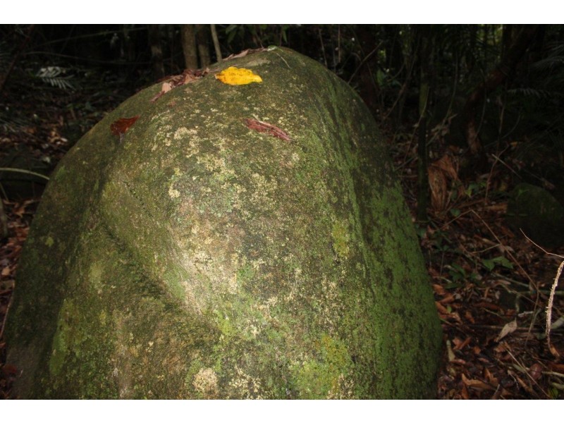 237 Stonewood Road DIWAN, Daintree QLD 4873