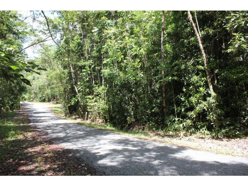 237 Stonewood Road DIWAN, Daintree QLD 4873