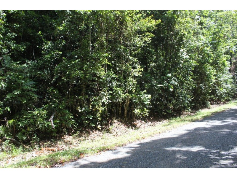 237 Stonewood Road DIWAN, Daintree QLD 4873