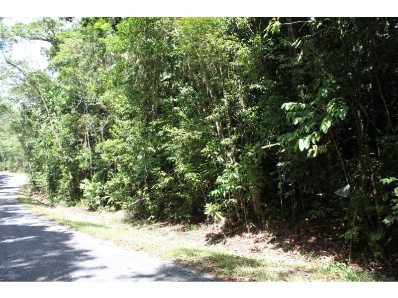 237 Stonewood Road DIWAN, Daintree QLD 4873