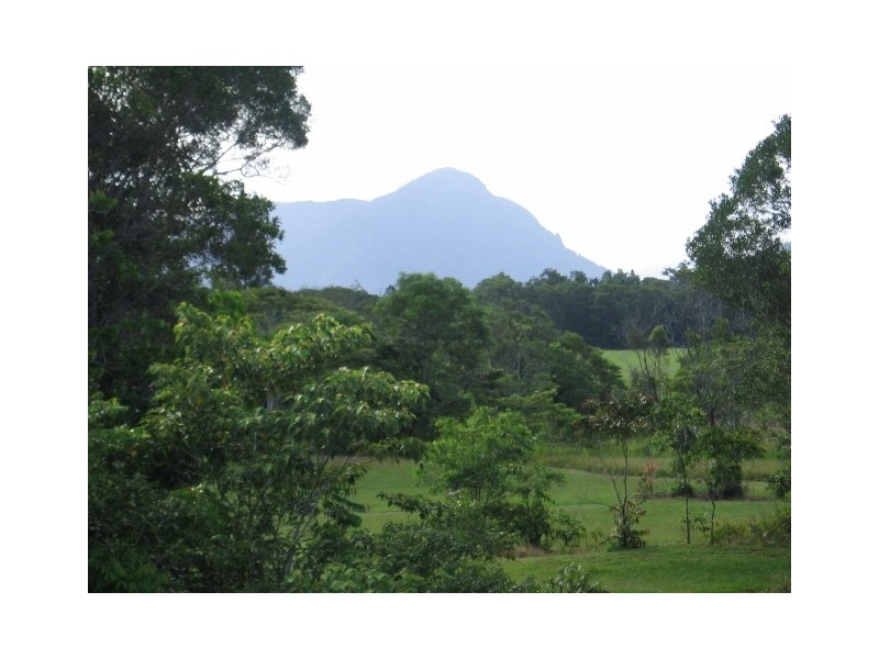 25 Rainforest Drive, Julatten QLD 4871