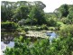 25 Rainforest Drive, Julatten QLD 4871