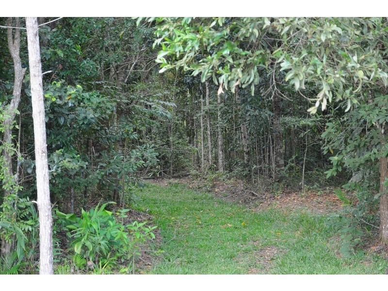 25 Rainforest Drive, Julatten QLD 4871