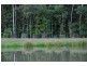 25 Rainforest Drive, Julatten QLD 4871