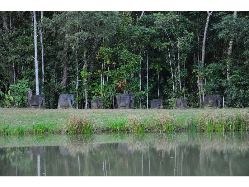 25 Rainforest Drive, Julatten QLD 4871