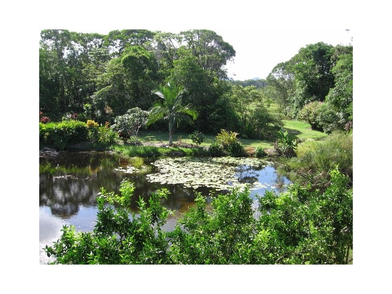 25 Rainforest Drive, Julatten QLD 4871