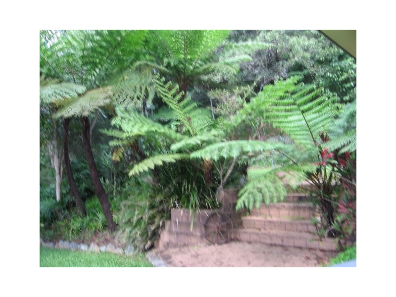 29 Mount Perseverence Rd, Julatten QLD 4871