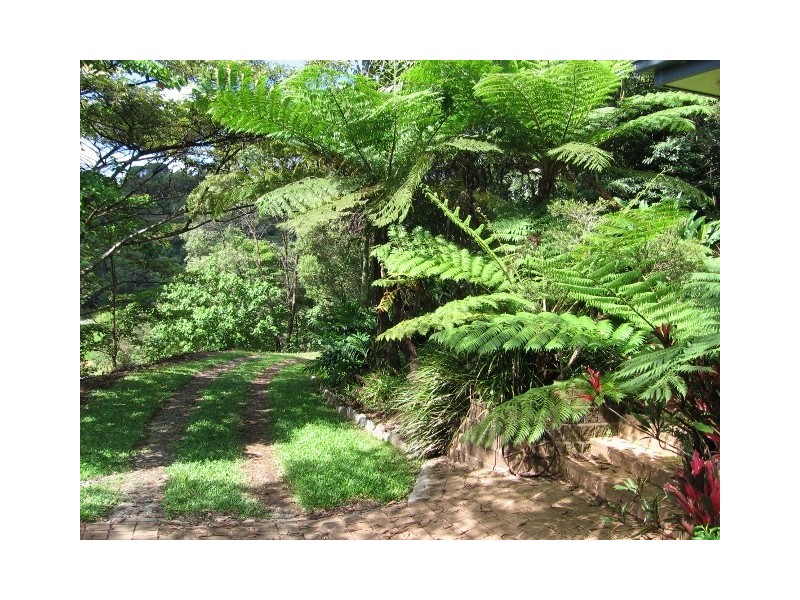 29 Mount Perseverence Rd, Julatten QLD 4871