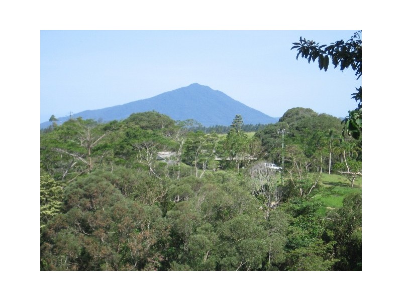 29 Mount Perseverence Rd, Julatten QLD 4871