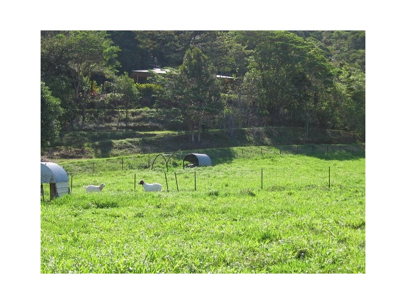 29 Mount Perseverence Rd, Julatten QLD 4871