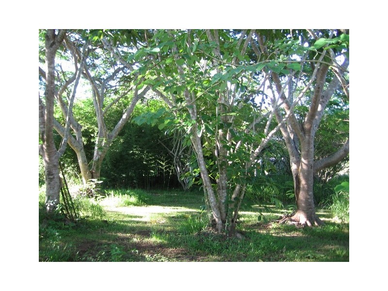 18 – 20 Fraser Road, Mount Molloy QLD 4871