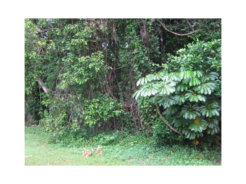 13 Maxwell Street, Mossman QLD 4873