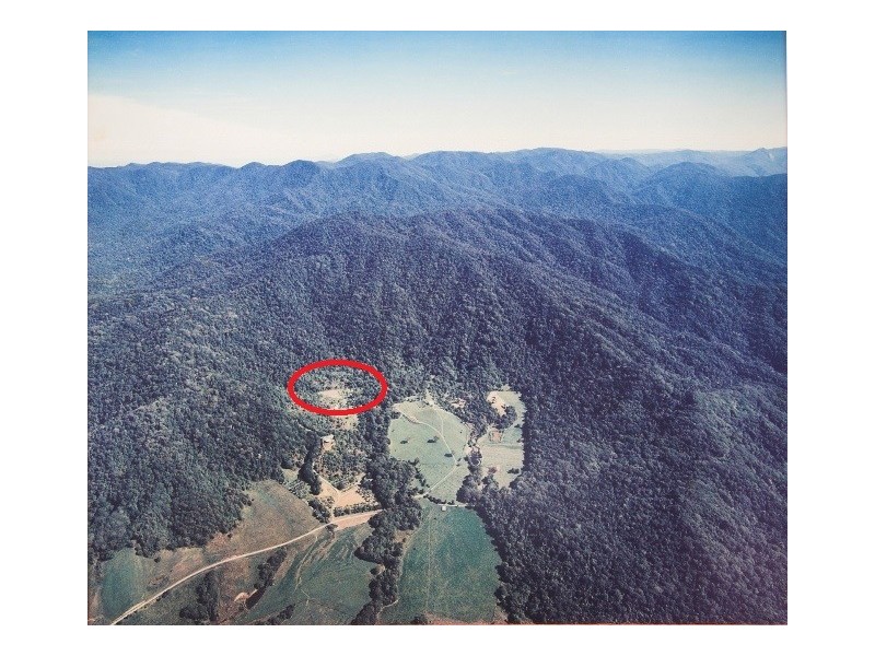 145 Mt Perseverence Rd, Julatten QLD 4871
