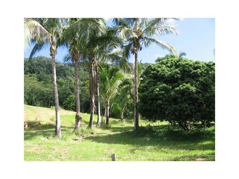145 Mt Perseverence Rd, Julatten QLD 4871