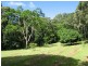 145 Mt Perseverence Rd, Julatten QLD 4871