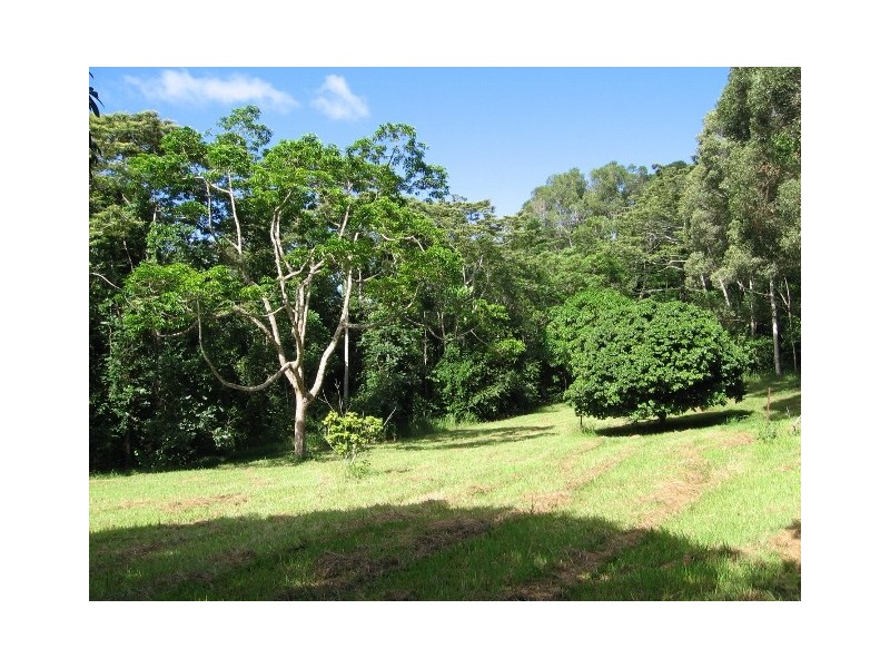 145 Mt Perseverence Rd, Julatten QLD 4871