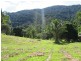 145 Mt Perseverence Rd, Julatten QLD 4871
