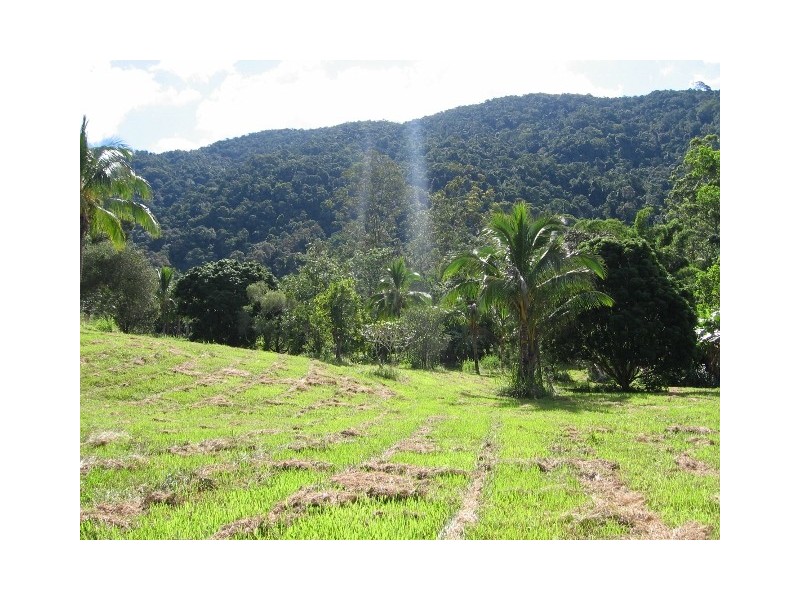 145 Mt Perseverence Rd, Julatten QLD 4871