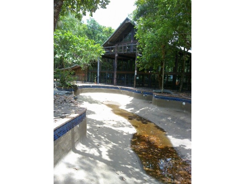 3673 Cape Tribulation Road CAPE TRIBULATION, Daintree QLD 4873