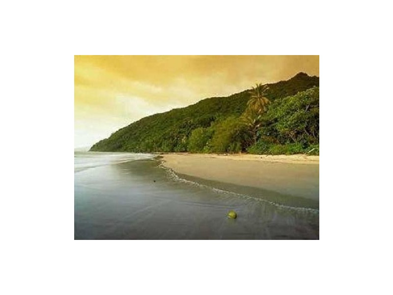 3673 Cape Tribulation Road CAPE TRIBULATION, Daintree QLD 4873
