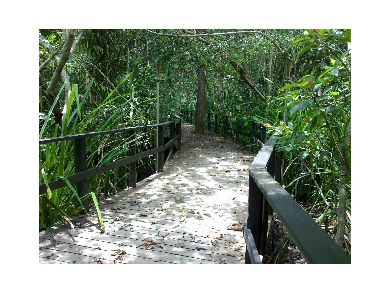 3673 Cape Tribulation Road CAPE TRIBULATION, Daintree QLD 4873