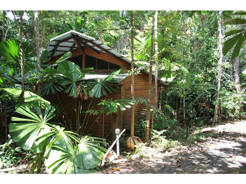 3673 Cape Tribulation Road CAPE TRIBULATION, Daintree QLD 4873
