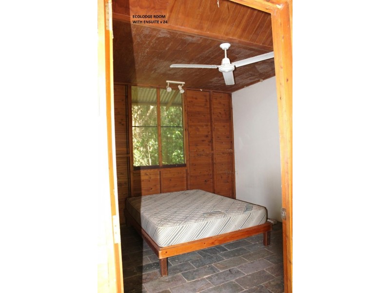 3673 Cape Tribulation Road CAPE TRIBULATION, Daintree QLD 4873