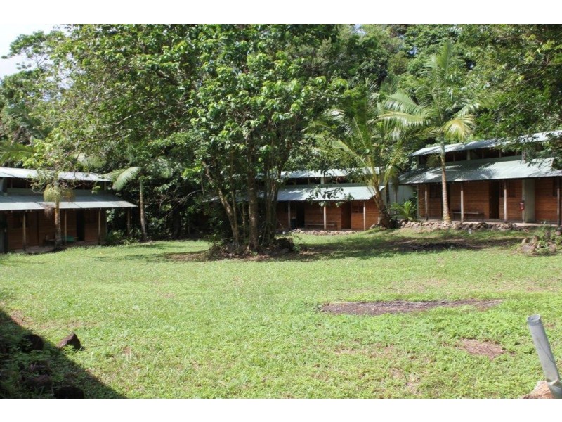 3673 Cape Tribulation Road CAPE TRIBULATION, Daintree QLD 4873