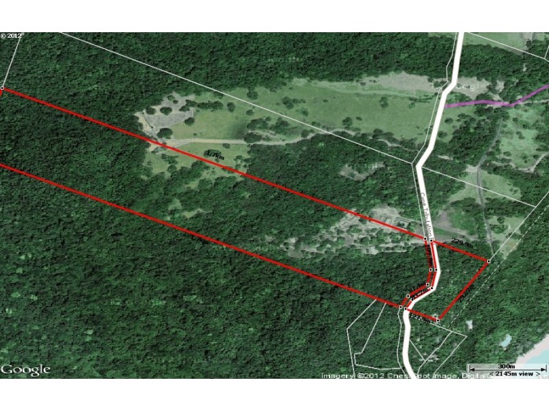 3673 Cape Tribulation Road CAPE TRIBULATION, Daintree QLD 4873