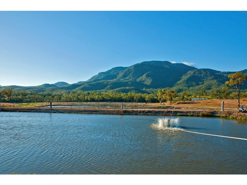 630 Bakers Road, Mount Molloy QLD 4871