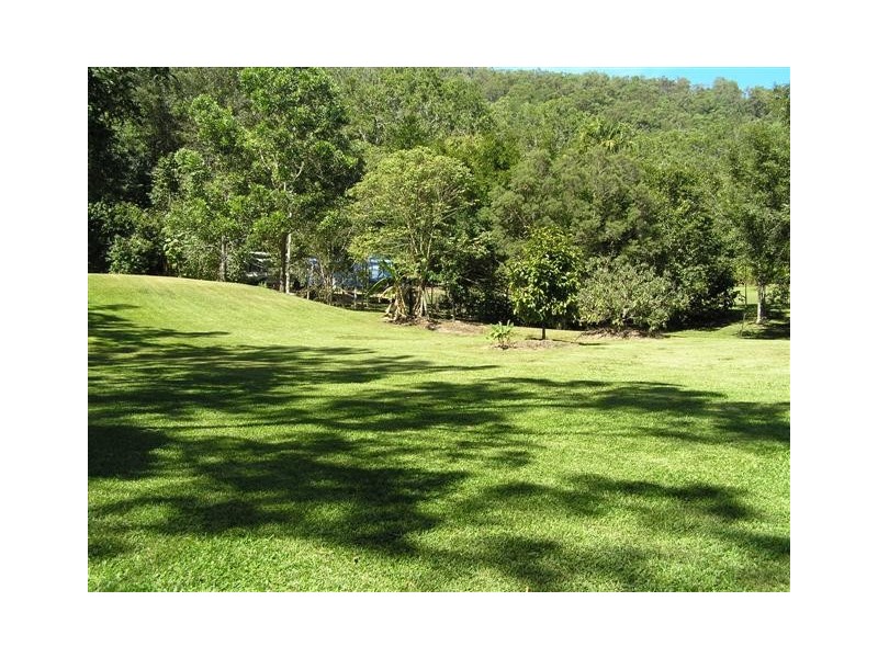 15 Mountain View Drive, Shannonvale QLD 4873