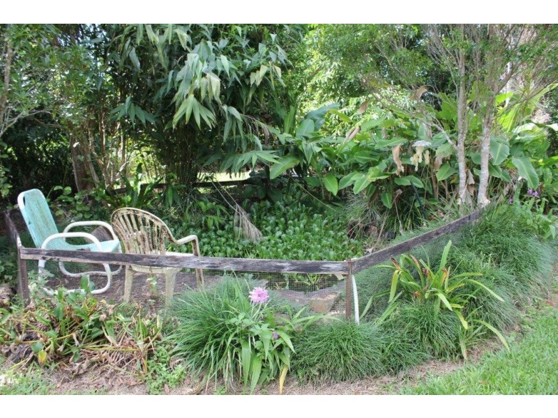 38 Spurwood Road COW BAY, Daintree QLD 4873