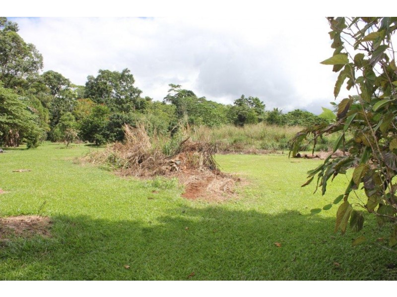 38 Spurwood Road COW BAY, Daintree QLD 4873
