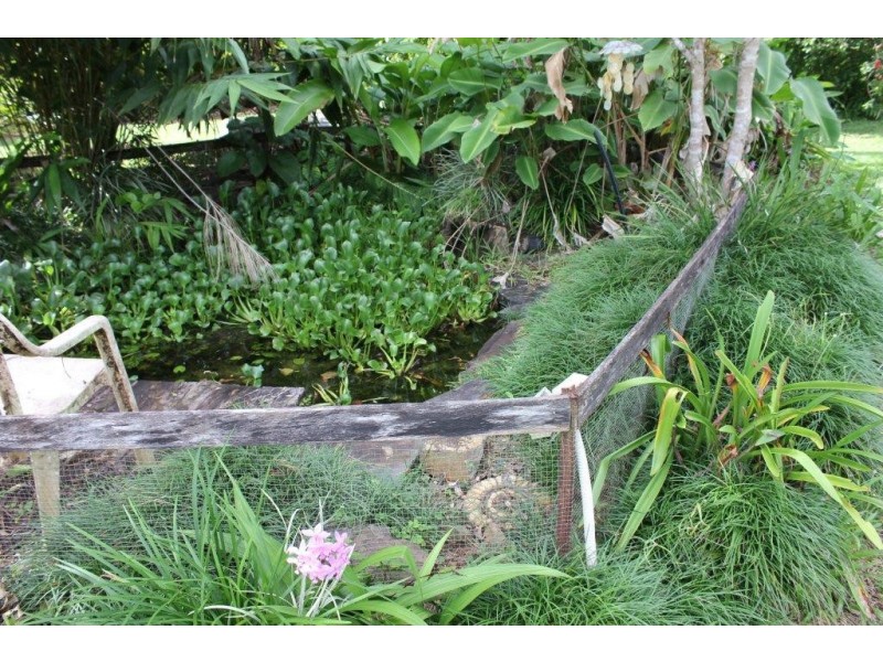 38 Spurwood Road COW BAY, Daintree QLD 4873