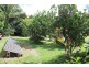 38 Spurwood Road COW BAY, Daintree QLD 4873