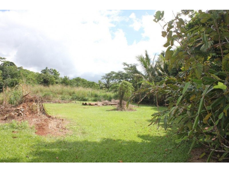 38 Spurwood Road COW BAY, Daintree QLD 4873