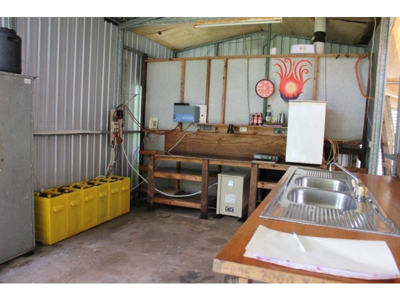 38 Spurwood Road COW BAY, Daintree QLD 4873